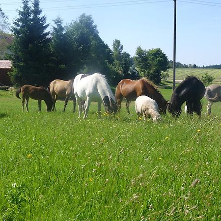 Landgasthof Zum Schwanen Hornberg Buitenkant foto