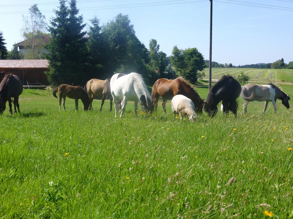 Landgasthof Zum Schwanen Hornberg Buitenkant foto